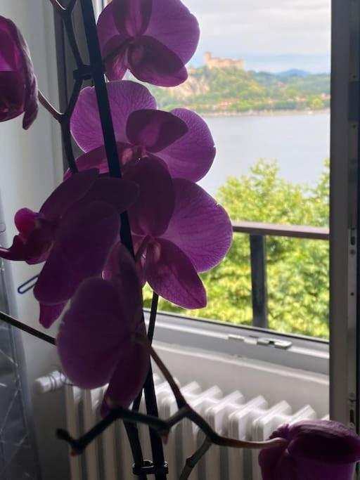 Babalu Con Vista Lago Арона Экстерьер фото
